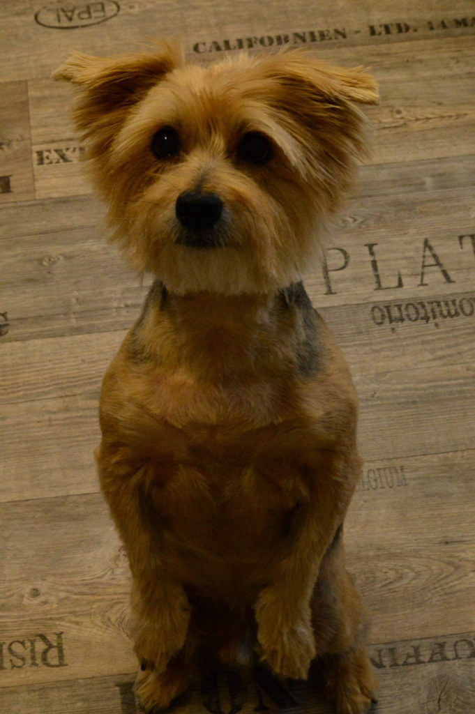 %_tempFileNameCharming%