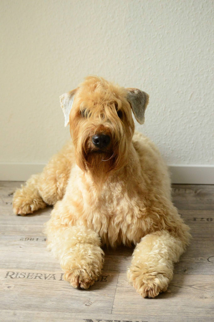 %_tempFileNameLinus%