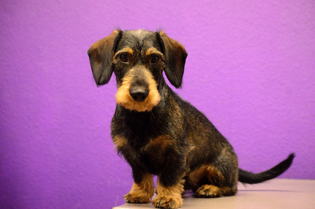 %_tempFileNameOscar%